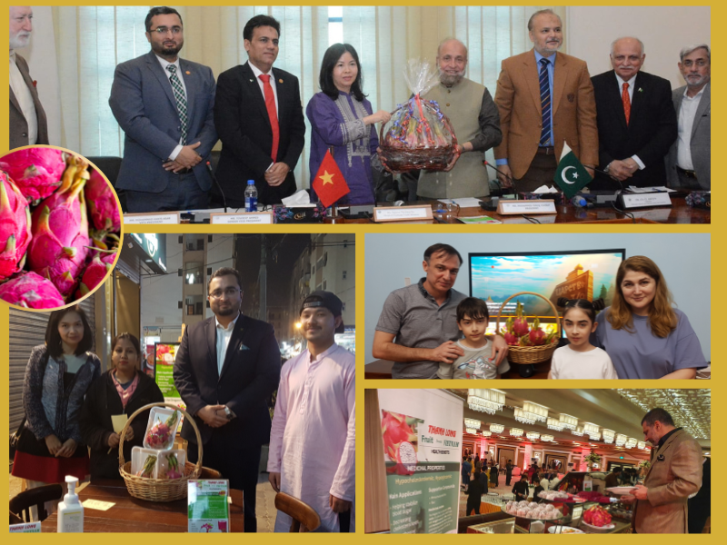 Kích cầu tiêu thụ sản phẩm thanh long tại thị trường Pakistan