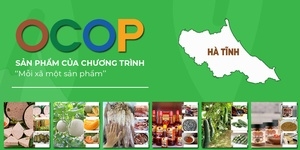Hà Tĩnh: Kết nối sản phẩm tiêu biểu của hơn 500 doanh nghiệp lên sàn thương mại điện tử