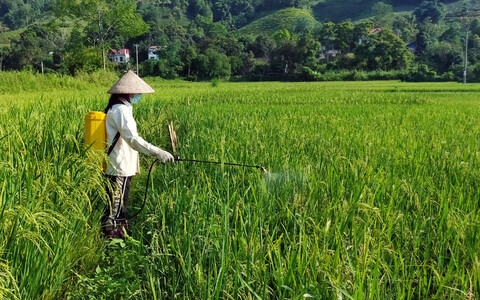 Na Uy tăng cường giám sát một số mặt hàng nhập khẩu