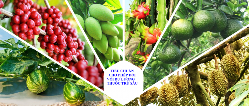 Đài Loan sửa đổi quy định Tiêu chuẩn cho phép đối với dư lượng thuốc trừ sâu