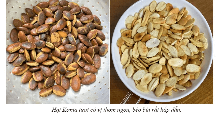 Bật mí lợi ích của những loại hạt không thể thiếu trong ngày Tết