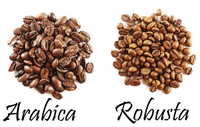 Giá cà phê Robusta, Arabica tăng cao