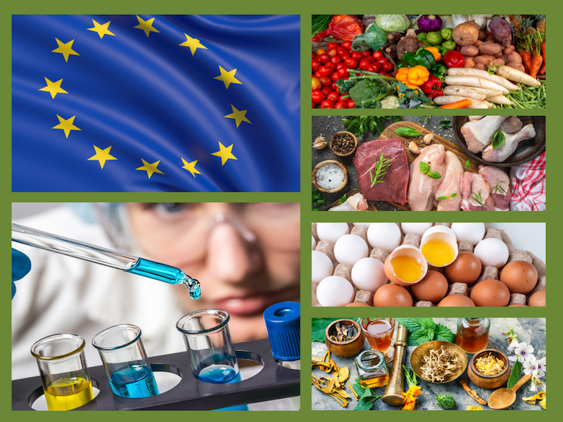 EU sửa đổi quy định về dư lượng tối đa đối với Clothianidin và Thiamethxam