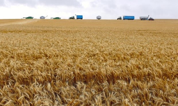 EU đề xuất áp thuế đối với ngũ cốc nhập khẩu từ Nga và Belarus