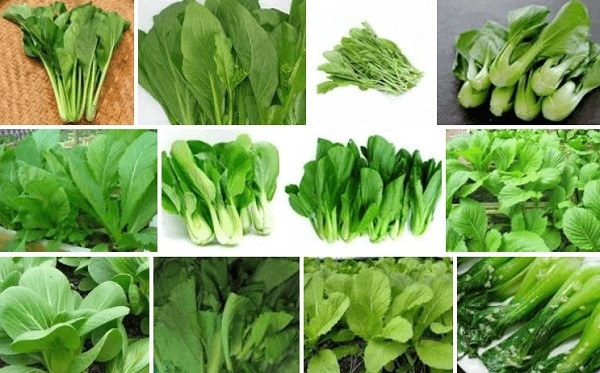 13 loại thực phẩm không thể bỏ qua cho lá phổi khỏe mạnh