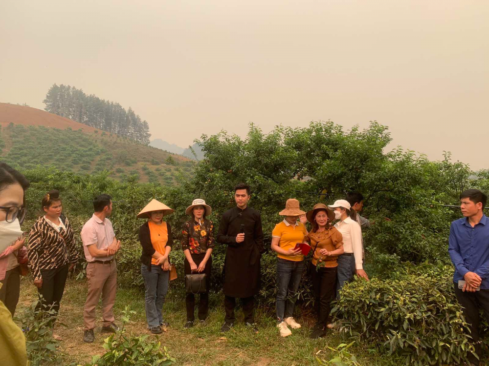 Kết nối thương mại điện tử liên kết vùng hỗ trợ phát triển sản phẩm địa phương