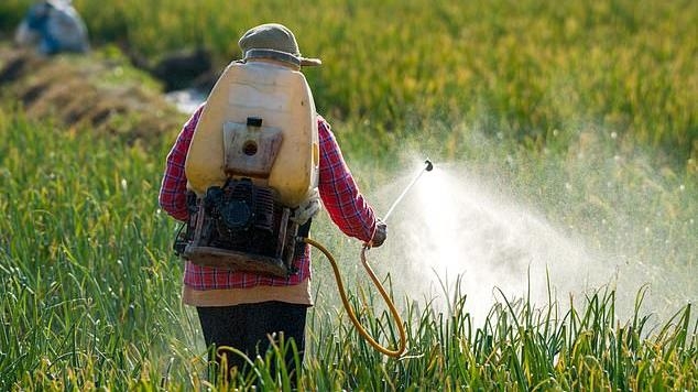 EU thay đổi ngưỡng dư lượng hóa chất nông nghiệp dùng trong động thực vật