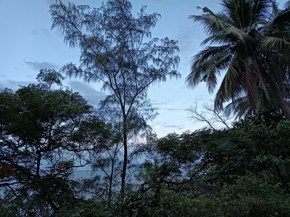 Xuyên Việt bằng xe gia đình: Xu hướng du lịch “nở rộ” dịp hè