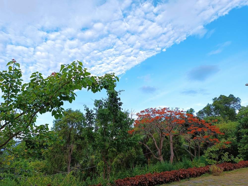 Xuyên Việt bằng xe gia đình: Xu hướng du lịch “nở rộ” dịp hè