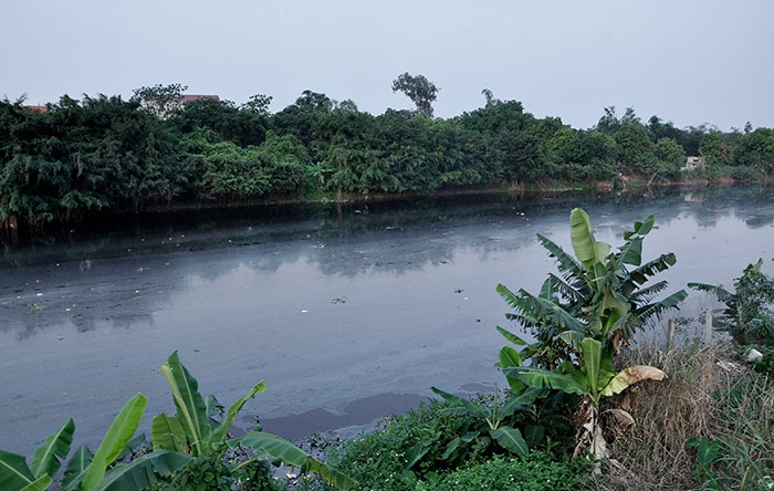 Xử lý dứt điểm tình trạng ô nhiễm môi trường đối với hệ thống công trình thủy lợi Bắc Hưng Hải Xử lý dứt điểm tình trạng ô nhiễm môi trường đối với hệ thống công trình thủy lợi Bắc Hưng Hải