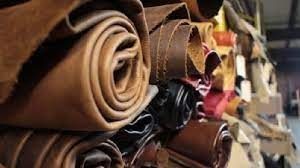 15 doanh nghiệp Algeria có nhu cầu nhập khẩu nguyên phụ liệu