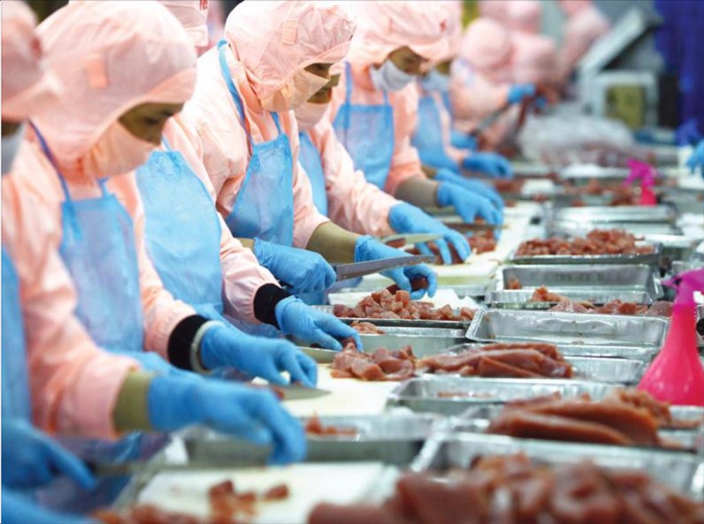 Cảnh báo về quy định xuất khẩu các sản phẩm thực phẩm có nguồn gốc động vật vào thị trường Azerbaijan