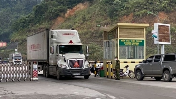 Bao bì hàng khô phải được bọc màng ni lông trước khi xuất khẩu sang Trung Quốc