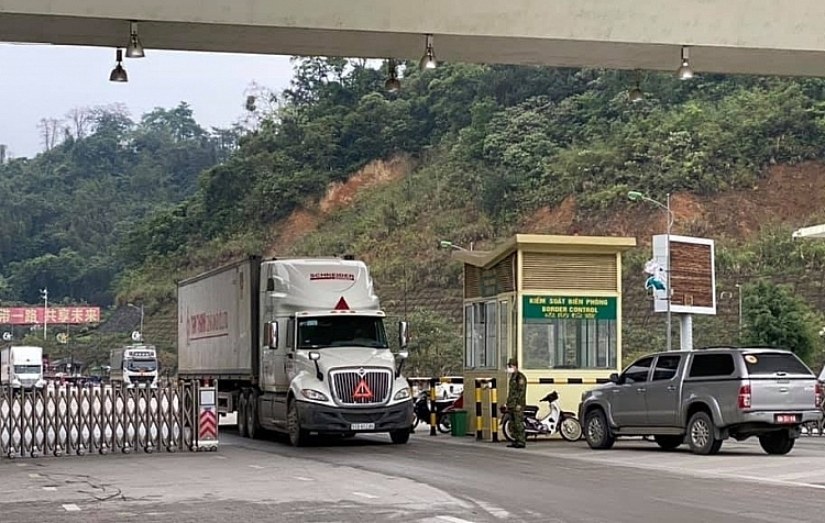 Bao bì hàng khô phải được bọc màng ni lông trước khi xuất khẩu sang Trung Quốc