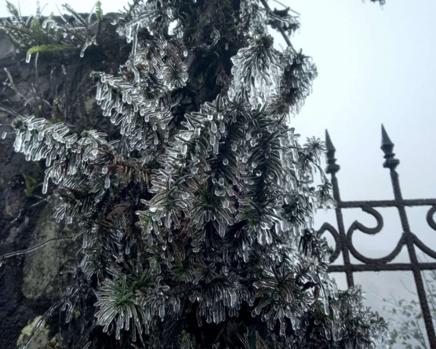 Băng giá bao phủ đỉnh Mẫu Sơn Băng giá bao phủ đỉnh Mẫu Sơn