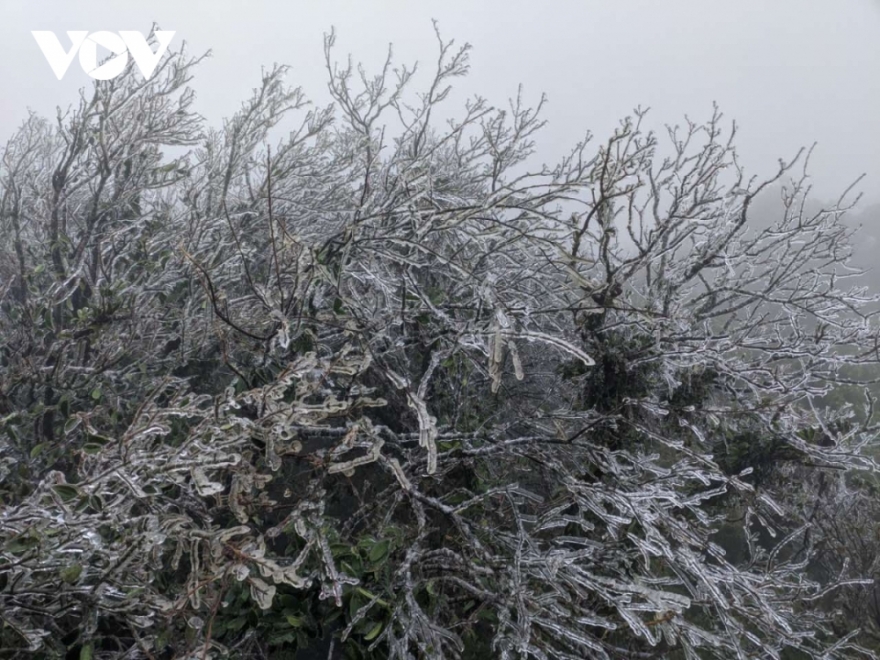 Băng giá bao phủ đỉnh Mẫu Sơn Băng giá bao phủ đỉnh Mẫu Sơn