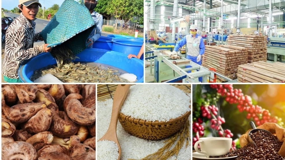 Năm 2024: Hà Nội hỗ trợ hàng ngàn doanh nghiệp tham gia mạng lưới phân phối nước ngoài