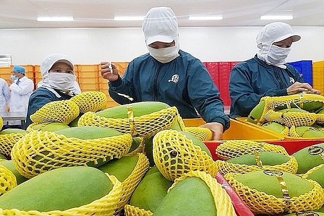 Rà soát doanh nghiệp, sản phẩm đã đăng ký nhưng chưa được Trung Quốc cấp mã