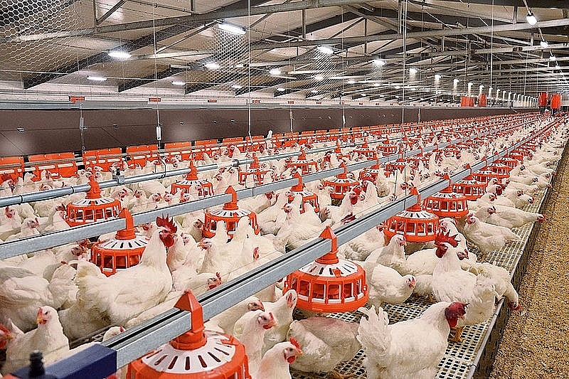 Kiến nghị 3 vấn đề Kiến nghị 3 vấn đề