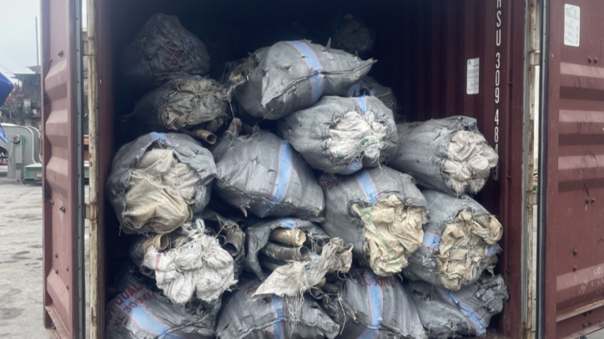 Bắt vụ nhập lậu 1,6 tấn ngà voi