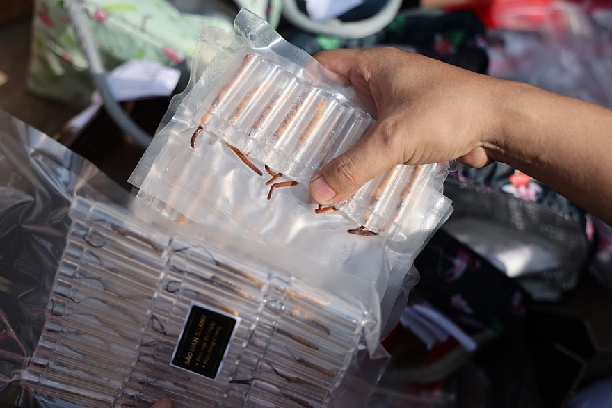 QLTT Hà Nội: Tiêu hủy lô Đông trùng hạ thảo bị bắt giữ