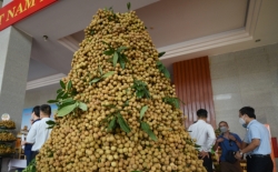 Nhãn Hưng Yên lên sàn thương mại điện tử