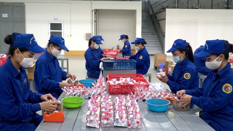 Yêu cầu Nhà máy Z121 rà soát hoạt động kinh doanh pháo hoa