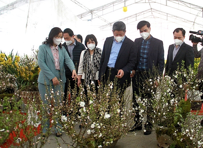 Xu hướng sắm Tết trực tuyến lên ngôi Xu hướng sắm Tết trực tuyến lên ngôi