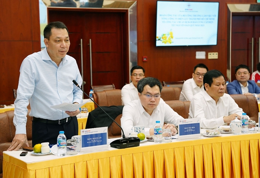 Đảm bảo điện an toàn liên tục ở hai miền Trung - Nam để người dân vui xuân, đón Tết