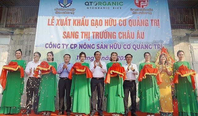 Quảng Trị xuất khẩu 15 tấn gạo hữu cơ đầu tiên sang thị trường châu Âu