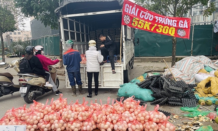 Cảnh giác với trứng gia cầm “giải cứu”
