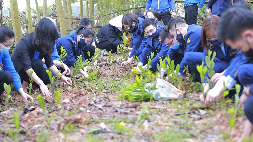 Trồng một cây xanh - một mầm hạnh phúc