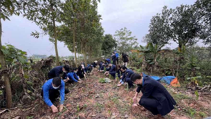 Trồng một cây xanh - một mầm hạnh phúc