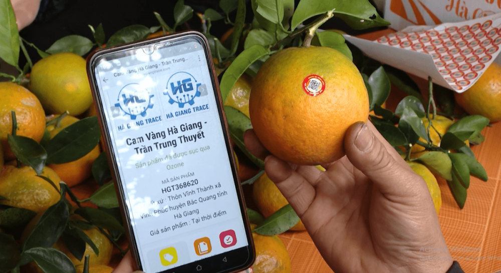 Ngành Công Thương Hà giang tích cực triển khai công tác chuyển đổi số Ngành Công Thương Hà giang tích cực triển khai công tác chuyển đổi số