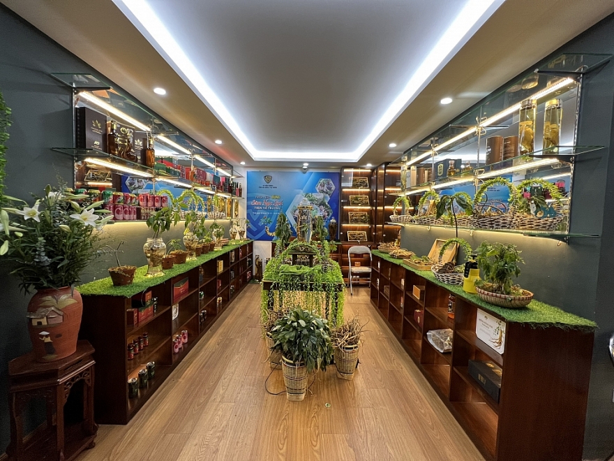 Chính thức mở cửa Phòng Trưng bày chuyên đề “Nhận diện đúng Sâm Ngọc Linh trên thị trường”