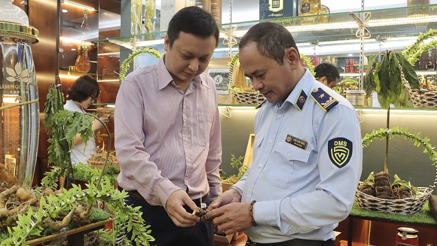 Chính thức mở cửa Phòng Trưng bày chuyên đề “Nhận diện đúng Sâm Ngọc Linh trên thị trường”