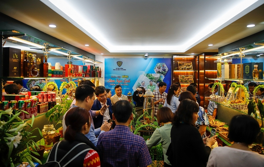 Chính thức mở cửa Phòng Trưng bày chuyên đề “Nhận diện đúng Sâm Ngọc Linh trên thị trường”
