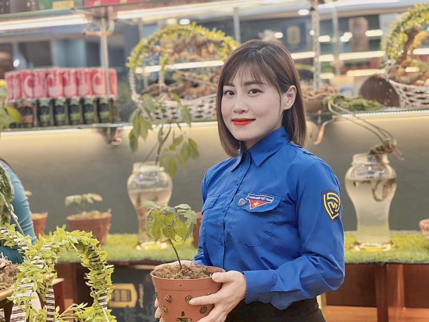 Thanh niên Quản lý thị trường cùng nhau nhận diện đúng sâm Ngọc Linh