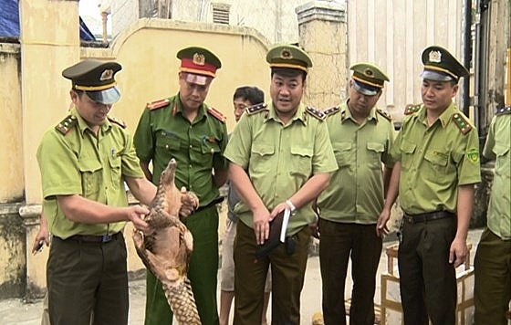 Đẩy mạnh truyền thông để bảo vệ động vật hoang dã, quý hiếm Đẩy mạnh truyền thông để bảo vệ các loài động vật hoang dã, quý hiếm