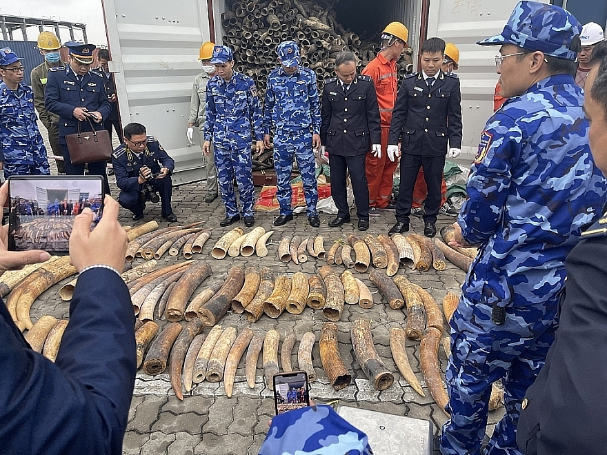 Đẩy mạnh truyền thông để bảo vệ động vật hoang dã, quý hiếm Đẩy mạnh truyền thông để bảo vệ động vật hoang dã, quý hiếm