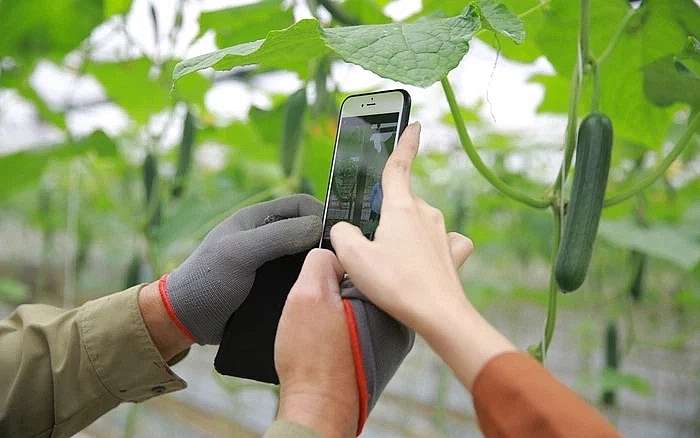 Bán nông sản online - điều mà trước đây chưa từng có