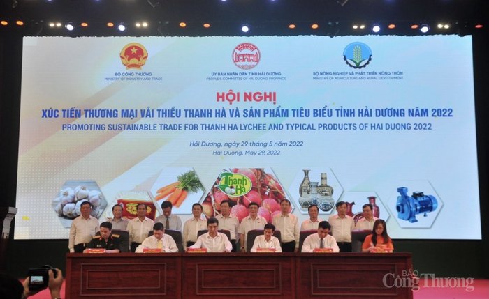 Kết nối tiêu thụ vải thiều Hải Dương với các thị trường trong và ngoài nước