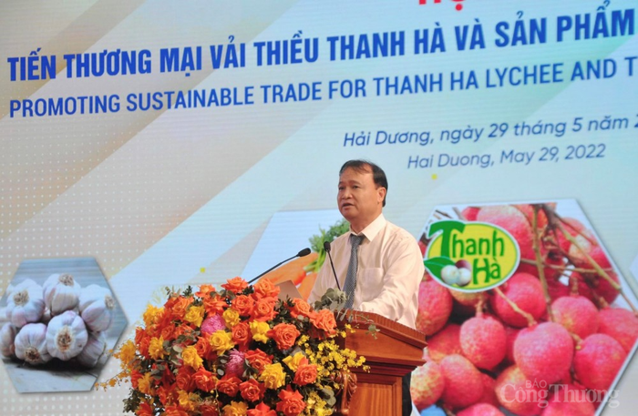 Kết nối tiêu thụ vải thiều Hải Dương với các thị trường trong và ngoài nước