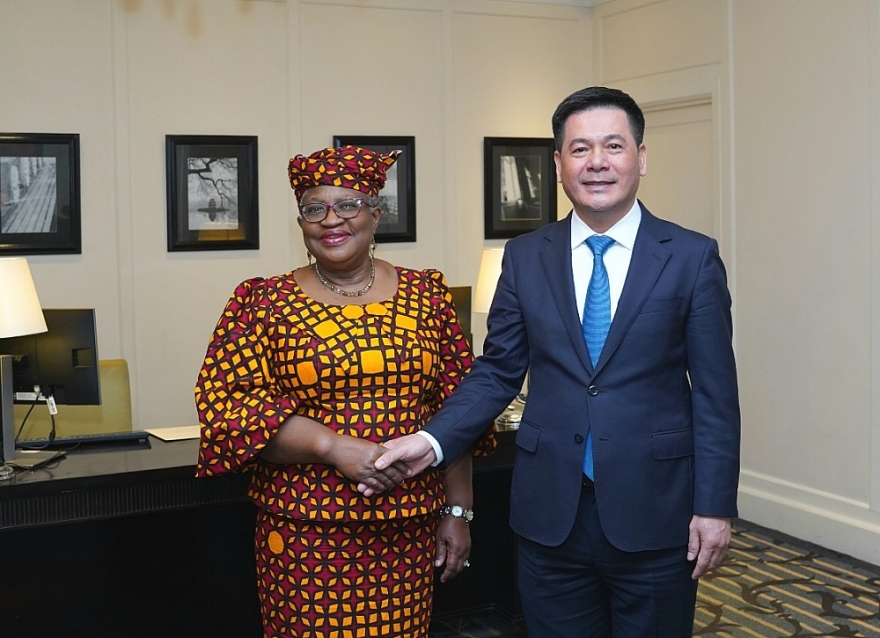 Thúc đẩy hệ thống thương mại đa phương giữa Việt Nam - WTO