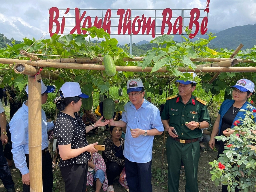 Xúc tiến tiêu thụ bí xanh thơm, nông sản Bắc Kạn trên thương mại điện tử