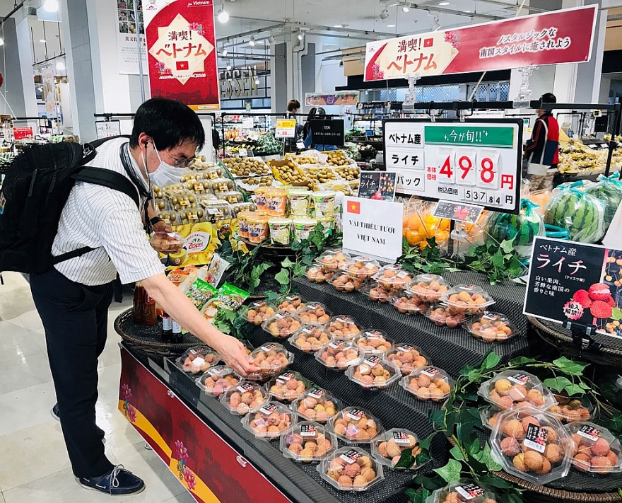 Quả vải Việt Nam được người dân Nhật Bản đón nhận