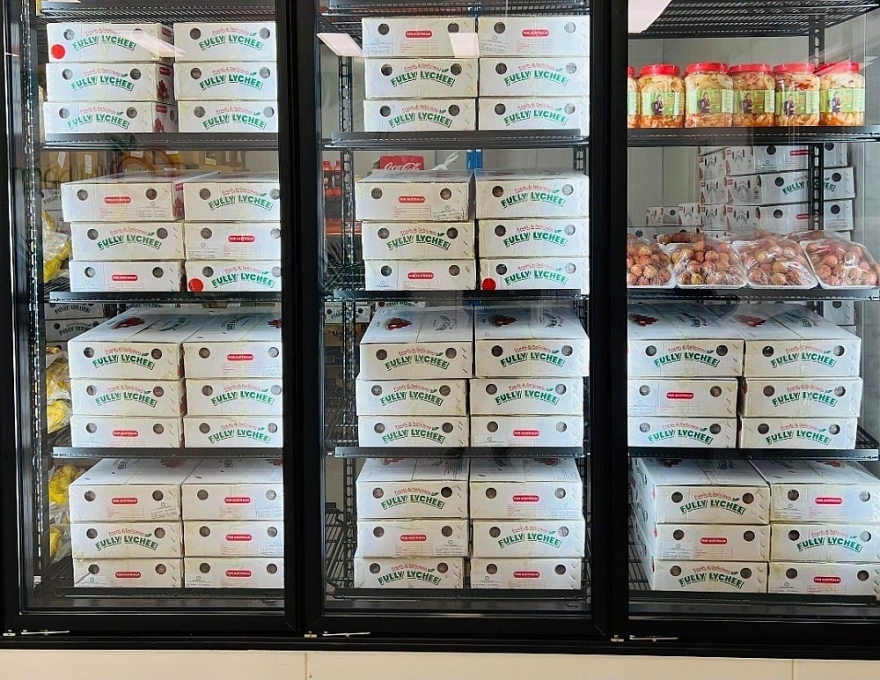 Bất chấp cước phí cao, vải Việt Nam cấp tập bay đến Úc