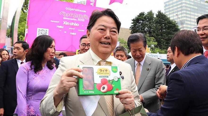 Người Nhật thích thú trải nghiệm, thưởng thức quả vải thiều Việt Nam