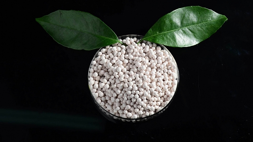 Australia không áp thuế chống bán phá giá đối với amoni nitrat của Việt Nam