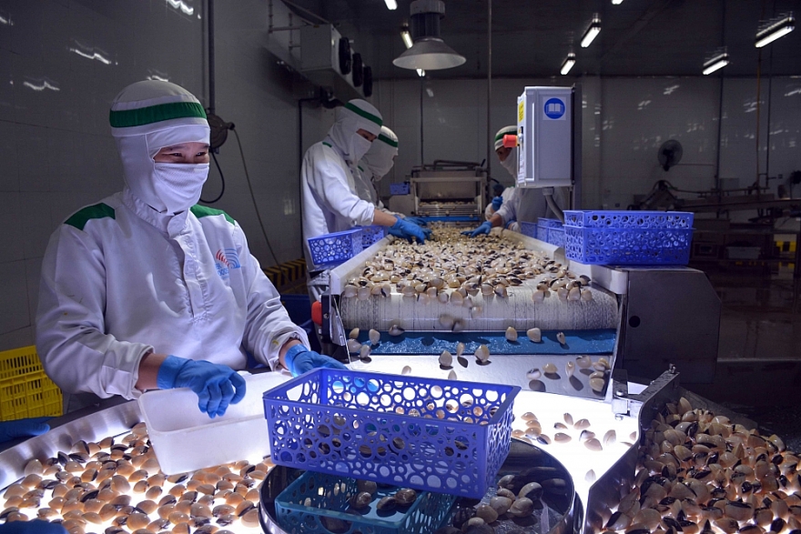 Xuất khẩu thủy sản kỳ vọng phục hồi nửa cuối năm